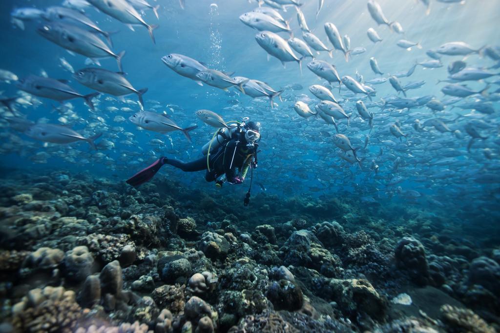 The Orca Hulhumale Exterior foto